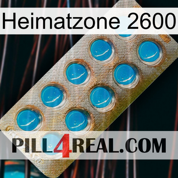 Home Zone 2600 new09